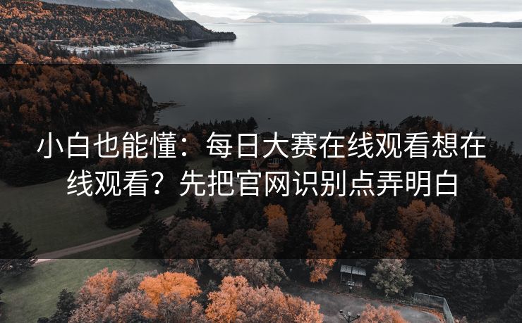 小白也能懂：<strong>每日大赛</strong>在线观看想在线观看？先把官网识别点弄明白
