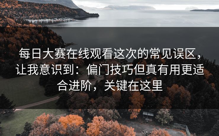<strong>每日大赛</strong>在线观看这次的常见误区，让我意识到：偏门技巧但真有用更适合进阶，关键在这里